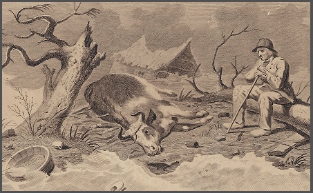 Watersnoodramp Overijssel (1825)